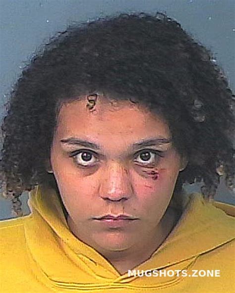 Williams Brianna N 01212023 Hernando County Mugshots Zone