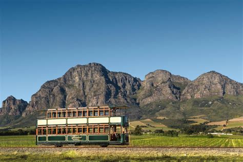 Sipping Wine On The Hop On Hop Off Franschhoek Wine Tram Cape Ardor