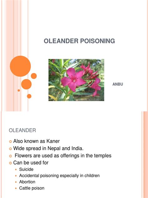 Oleander Poisoning Medical Specialties Diseases And Disorders