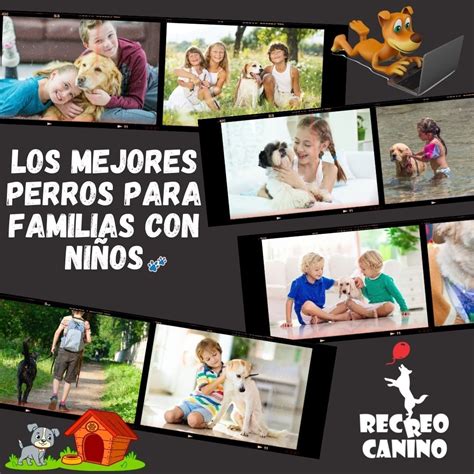 Algunos de los mejores perros para familias con niños Recreo Canino