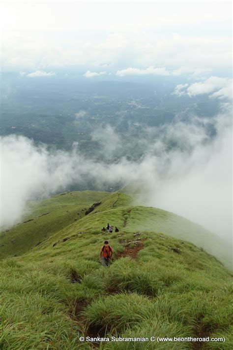 Chembra Peak Trekking