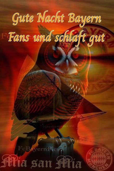 Pin Von Martin G Ttgens Auf Gute Nacht Fc Bayern M Nchen Gute Nacht