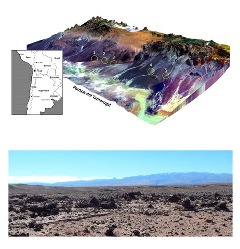 Vast Patches Of Glassy Rock In Chilean Desert Likely Created By Ancient Exploding Comet Brown