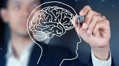 Neuromarketing E Neurolideran A Como Aplicar Princ Pios Cognitivos No