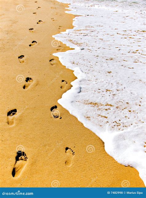 Footsteps In Sand Stock Photo Image Of Profile Sharp 7482998