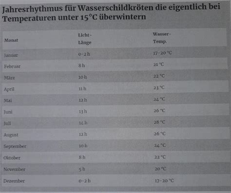 is it normal turtle hyperactive without vet 6