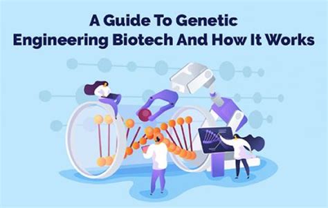 A Guide To Genetic Engineering Biotech And How It Works