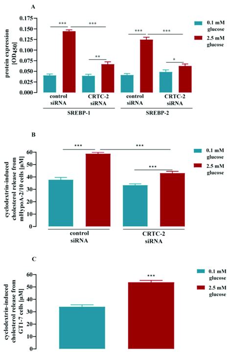 Glucose Induced SREBP Protein Expression And Cholesterol Synthesis Via