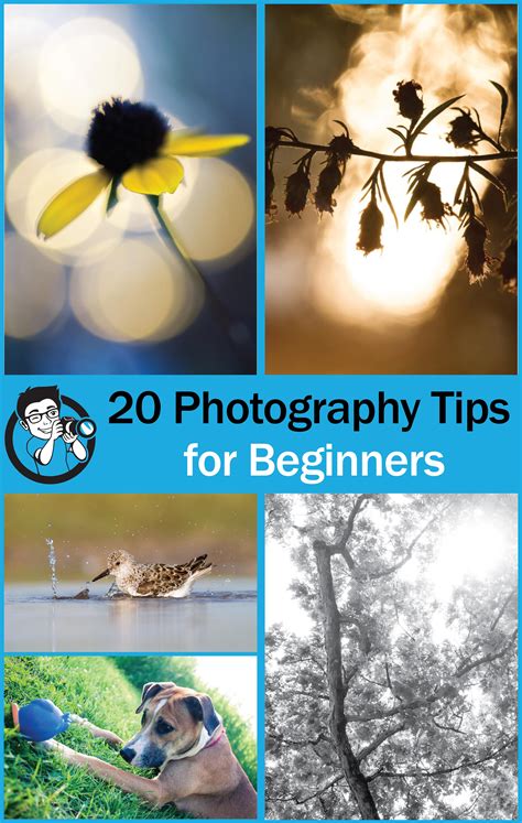 Photography Tips For Beginners Easy Tips Get Started Now