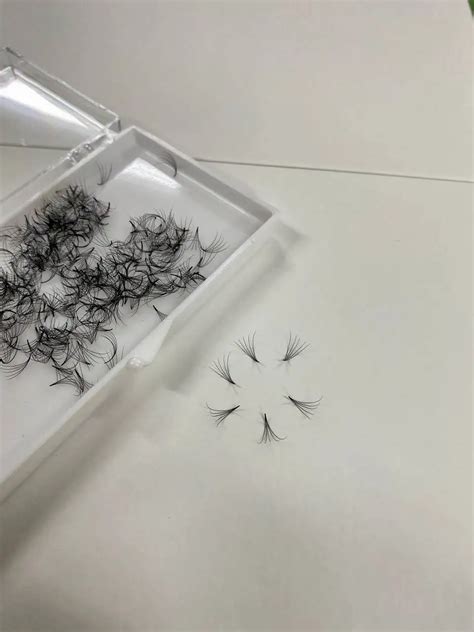 Daily Eye Makeup Flat Lash Premium Eyelash From Rina Vietnam Eyelash