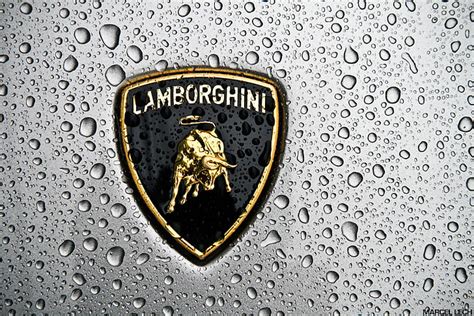 Lamborghini Symbol Wallpaper