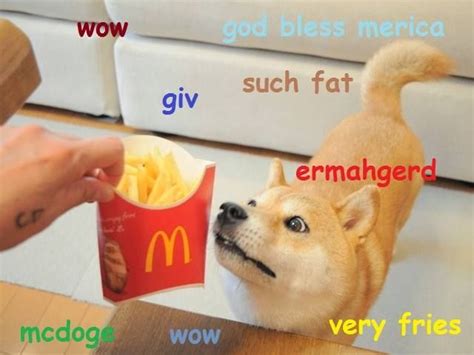 Doge Lol Funny Doge Doge Meme Funny Dog Memes Funny Animal Memes