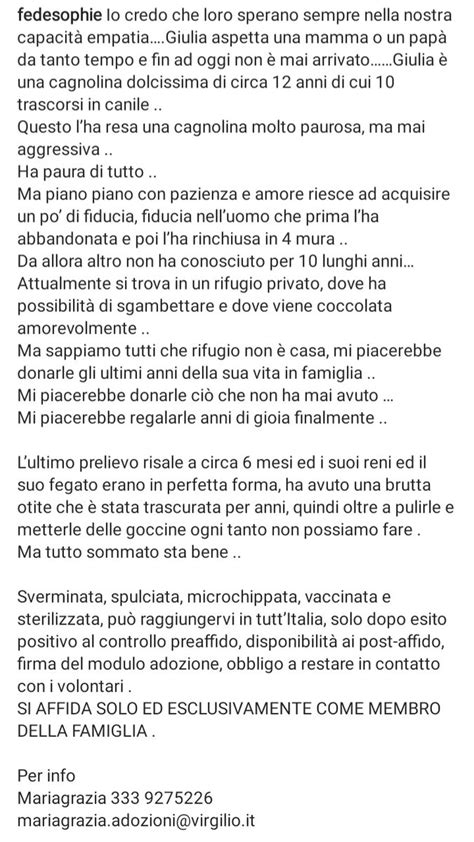 Francesca On Twitter Rt Zampa Qua Straurgentissimomariagrazia