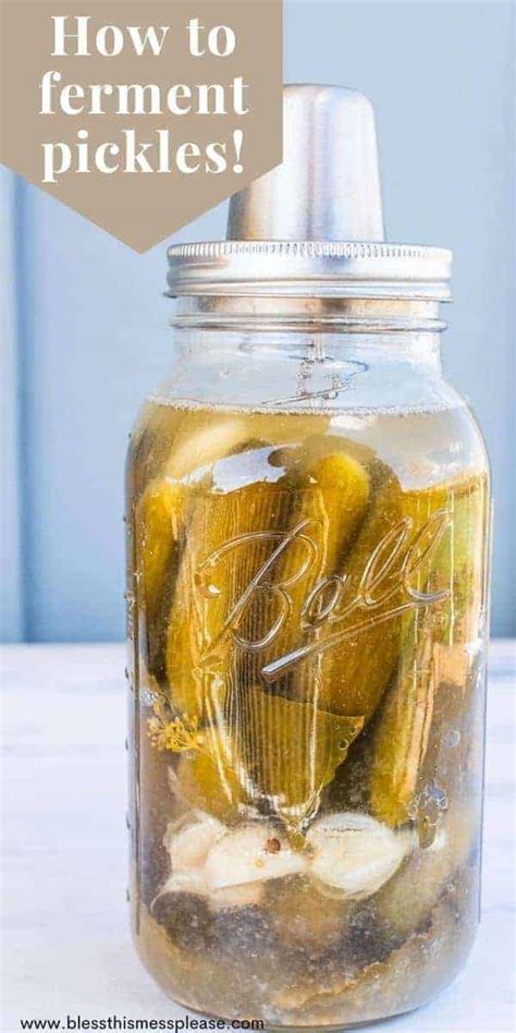 Grandma-Approved Easy Fermented Pickles Recipe — Bless this Mess