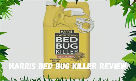 Harris Bed Bug Killer Review 2021 Does It Really Work