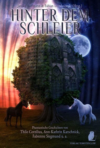 Hinter Dem Schleier Von Sabrina Schumacher Christian Schlierkamp