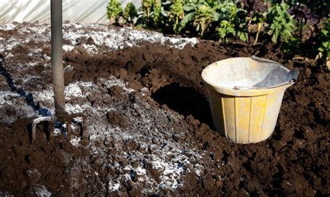 Guide D Utilisation De La Chaux Dans Votre Jardin Trucs Pratiques