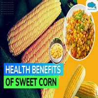 Everything You Need To Know About Sweet Corn And Its Health Benefits