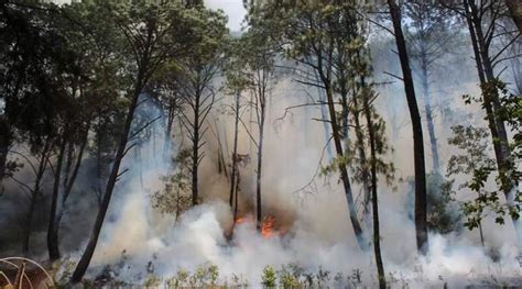 70 de incendios forestales provocados en Michoacán mimaravatio