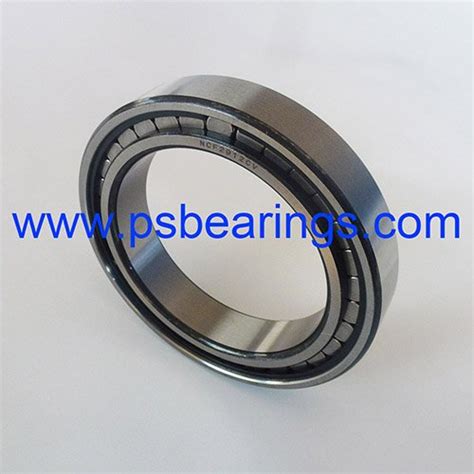 Single Row Full Complement Cylindrical Roller Bearing Archives Ps Bearings Mfg Limited