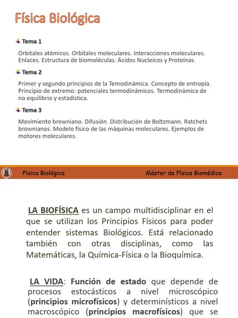 Tema 1 Pdf Orbital Molecular Orbital Atómico