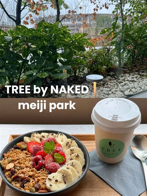 Tree By Naked Meiji Park Noona Cafe