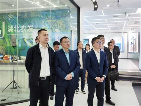 桃江县与湖北农发集团开展洽谈交流 集团要闻 湖北农业发展集团