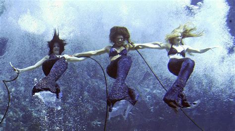 Weeki Wachee The Mermaid Paradise Youtube