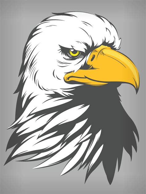 Bald Eagle Falcon Hawk Head, Cartoon Vector Illustration Drawing ...