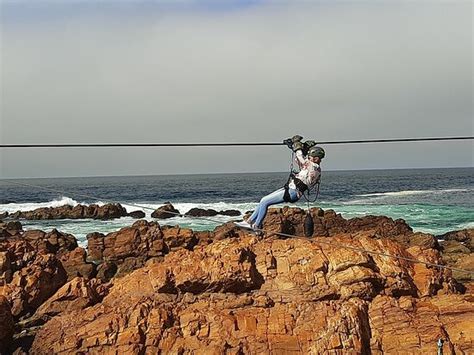 Mossel Bay Zipline Sa Forest Adventures Aktuelle 2021 Lohnt Es