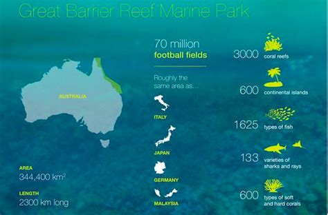 Six Things Queensland S Next Government Must Do To Save The Great Barrier Reef