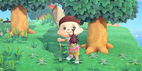 Animal Crossing New Horizons Every New Bug For January 2021