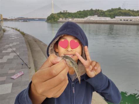 小物釣り 和歌山県 和歌山マリーナシティ サビキ 稚鮎 陸っぱり 釣り・魚釣り 釣果情報サイト カンパリ