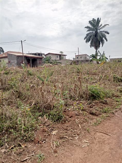 Hectares De Terrain Titr Loti Vendre Lada Nkoabang Homecm