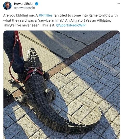 Gator Aid Phillies Fan Is Refused Entry To Citizens Bank Park After