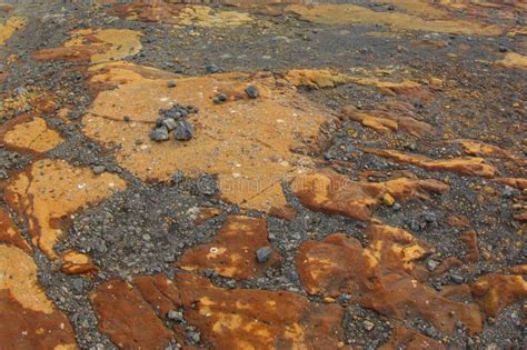 Icelandic Soil Covered With Moss And Lichen Stock Photo Image Of