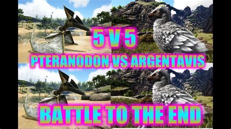 5 V 5 PTERANODON VS ARGENTAVIS YouTube