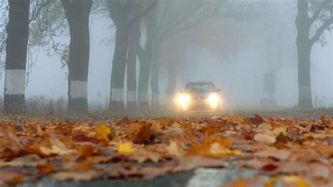 Autofahren Im Herbst Trotz Nebel N Sse Und Laub Sicher Unterwegs