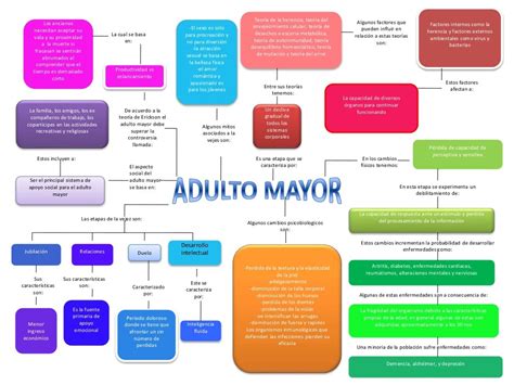 Mapa Conceptual Adulto Mayor