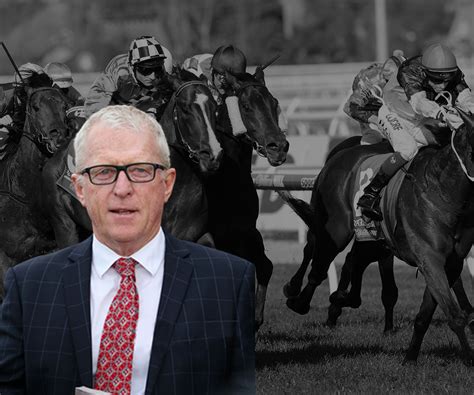 Long Striding Horse To Take Advantage Of A Lack Of Pace Pricekent