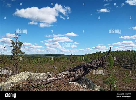 Vasterbotten County Hi Res Stock Photography And Images Alamy