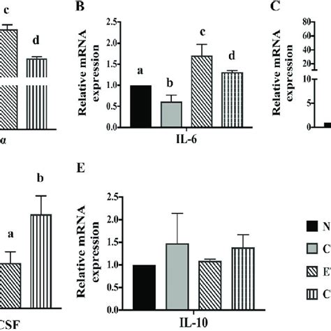 Relative Gene Expression Of Anti And Proinflammatory Cytokines In