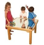 mirror table  brain bus