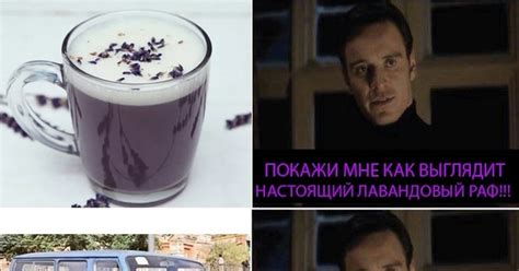Настоящий лавандовый раф | Пикабу