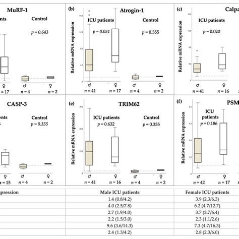 Af Sex Specific Relative Mrna Expression Of Protein Degradation Download Scientific Diagram