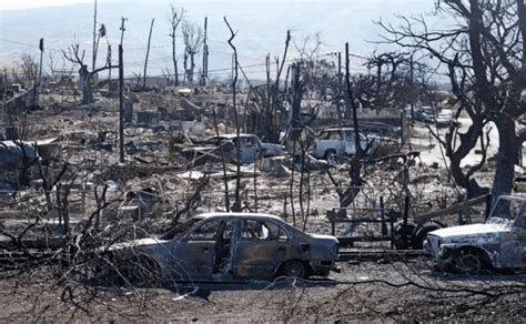 Mueren Dos Mexicanos En Los Incendios De Hawái