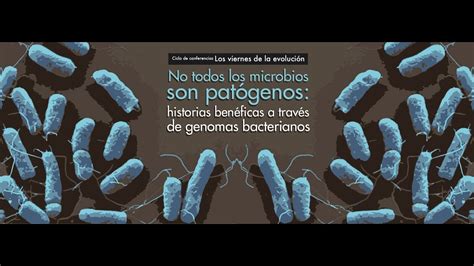 No Todos Los Microbios Son Patogenos Historias Beneficas A Traves De