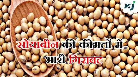 Soybean Mandi Bhav सोयाबीन की कीमतों में भारी गिरावट अभी और गिरेंगे दाम जानें देशभर की