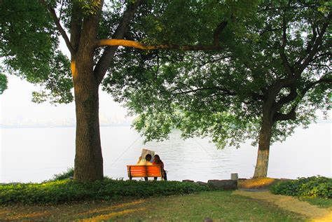 Pareja Bajo El Arbol Grande Foto Descarga Gratuita Hd Imagen De Foto