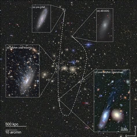 Tails Tell The Tale Of Galaxy Evolution Obsevation Results Subaru Telescope